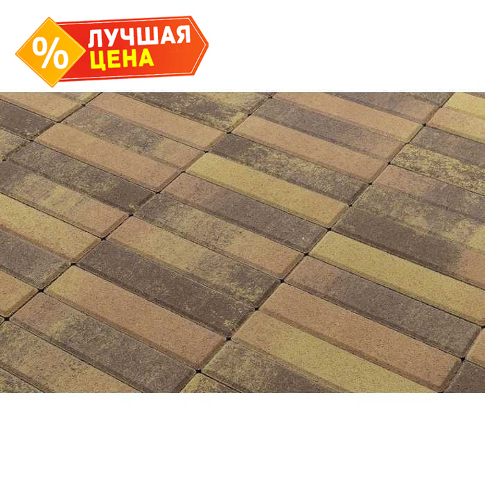 Плитка тротуарная BRAER Паркет Color Mix Прайд, 200x50x60 мм