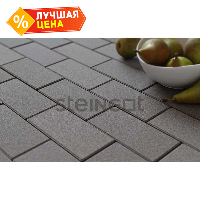 Плитка тротуарная Steingot Моно, Прямоугольник, с фаской 1,5x1,5, серый, 200x100x60 мм