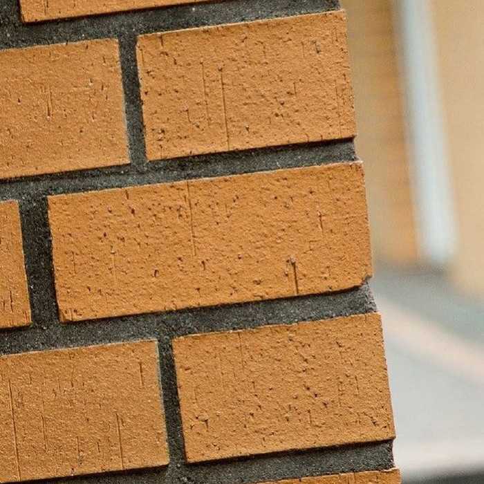  - фото 3
